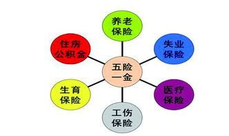 保险是什么五行|保险行业五行